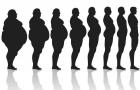 Основные принципы оптимального питания для ускорения сжигания жиров при похудении