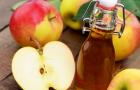 Juuste loputamine õunaäädikaga: juuste väljalangemise vastu ja tugevdamiseks Mida teeb õunaäädikas juustele?