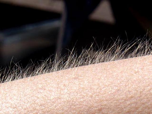 Danger and stress: why you get goosebumps and why your hair stands on end When your hair stands on end
