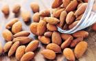 “Almonds - benefits and harms, properties and subtleties of use”